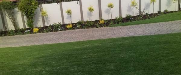 Plumtree Gardening Work 6